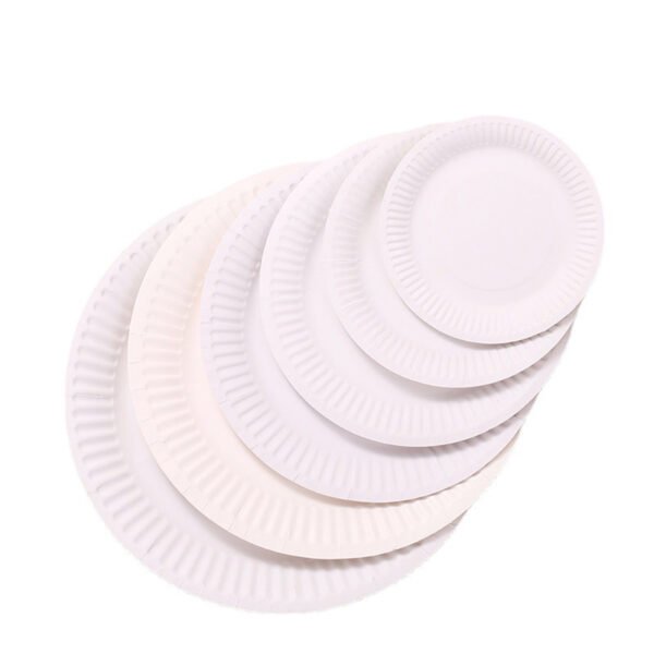 9-Inch Disposable Paper Plates