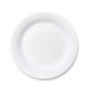 9-Inch Disposable Paper Plates