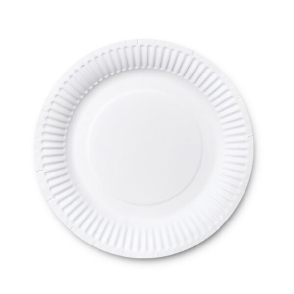 9-Inch Disposable Paper Plates