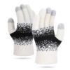 Winter Touchscreen Gloves