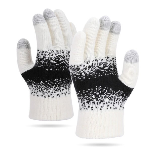 Winter Touchscreen Gloves