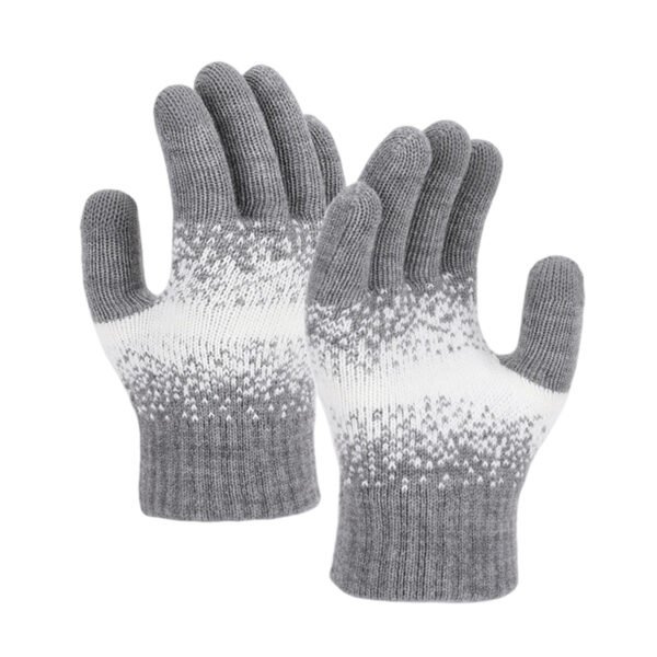Winter Touchscreen Gloves
