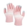 Winter Touchscreen Gloves
