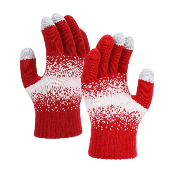 Winter Touchscreen Gloves