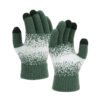 Winter Touchscreen Gloves