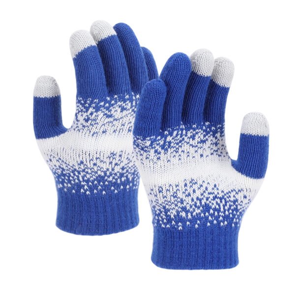 Winter Touchscreen Gloves