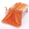 Coral Fleece Towel
