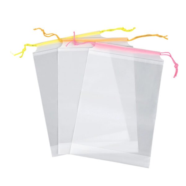 Frosted Drawstring Bag