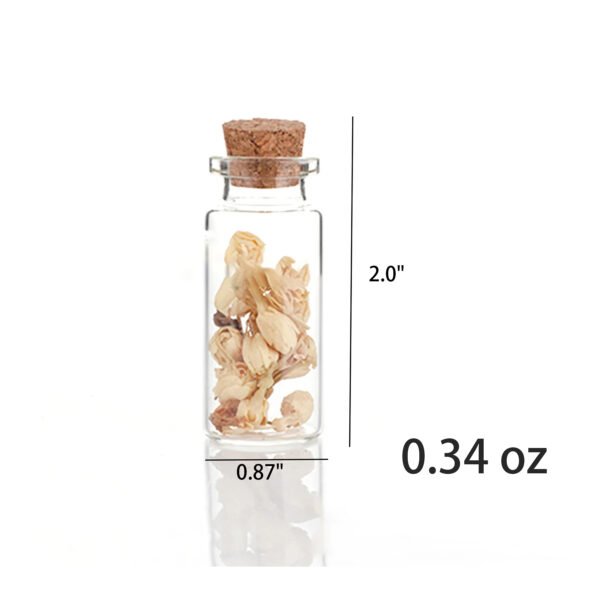 Glass Bottle with Cork